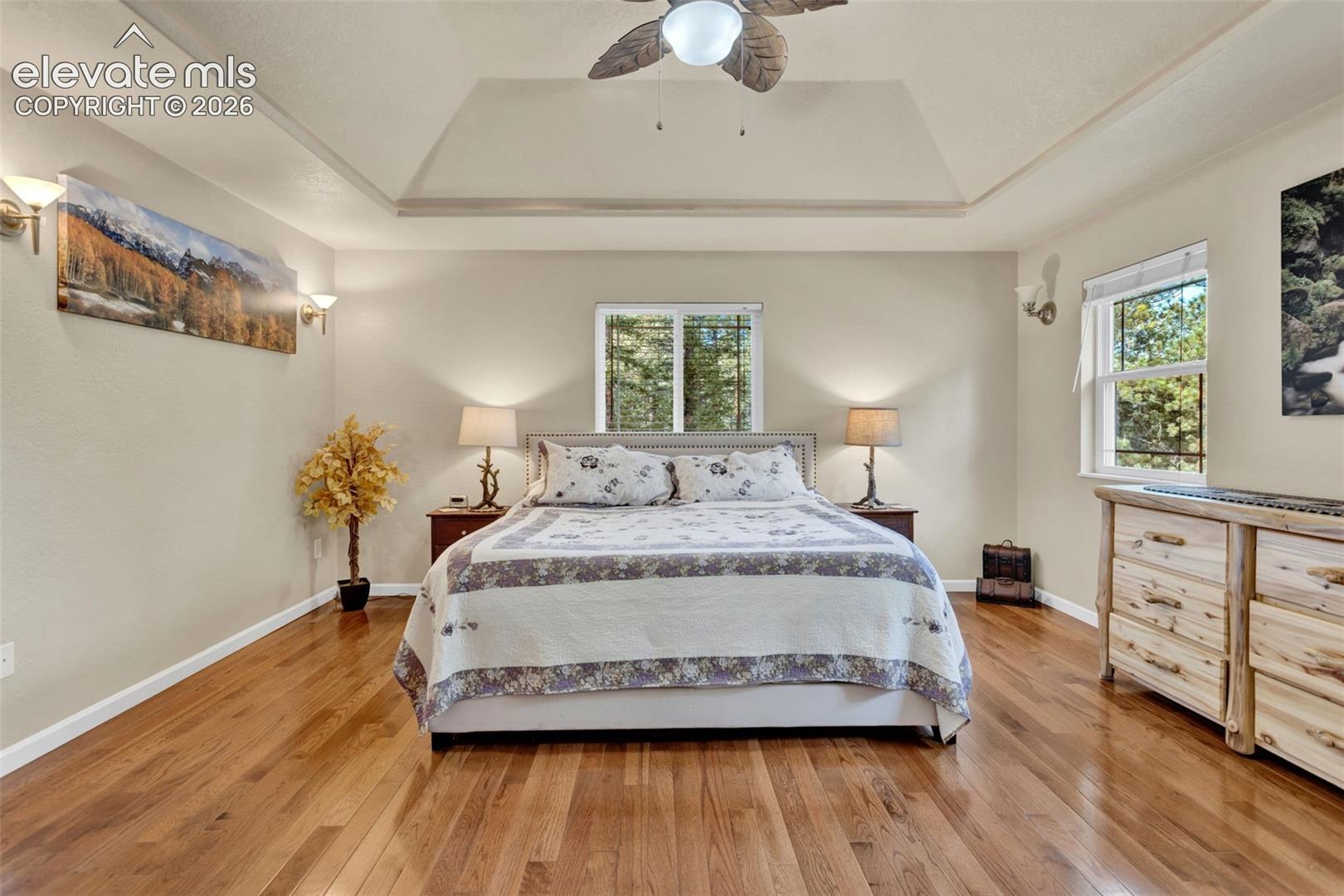 Master Bedroom - main level