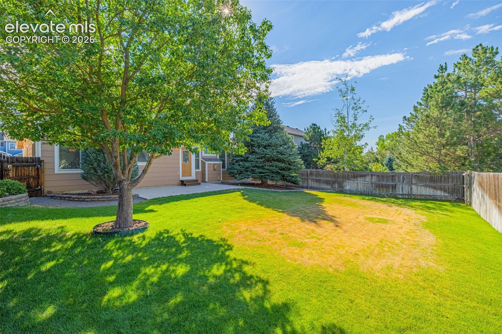 Fenced yard