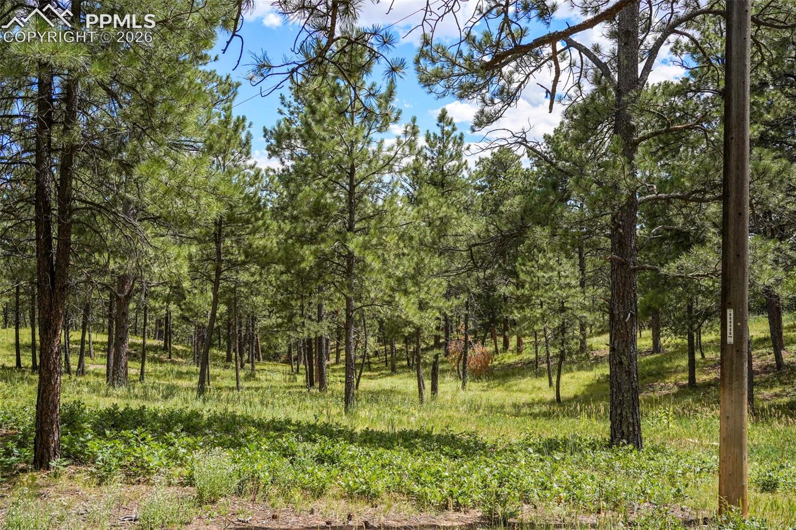 Photo 6 of 325 Pine Oaks Road, Colorado Springs