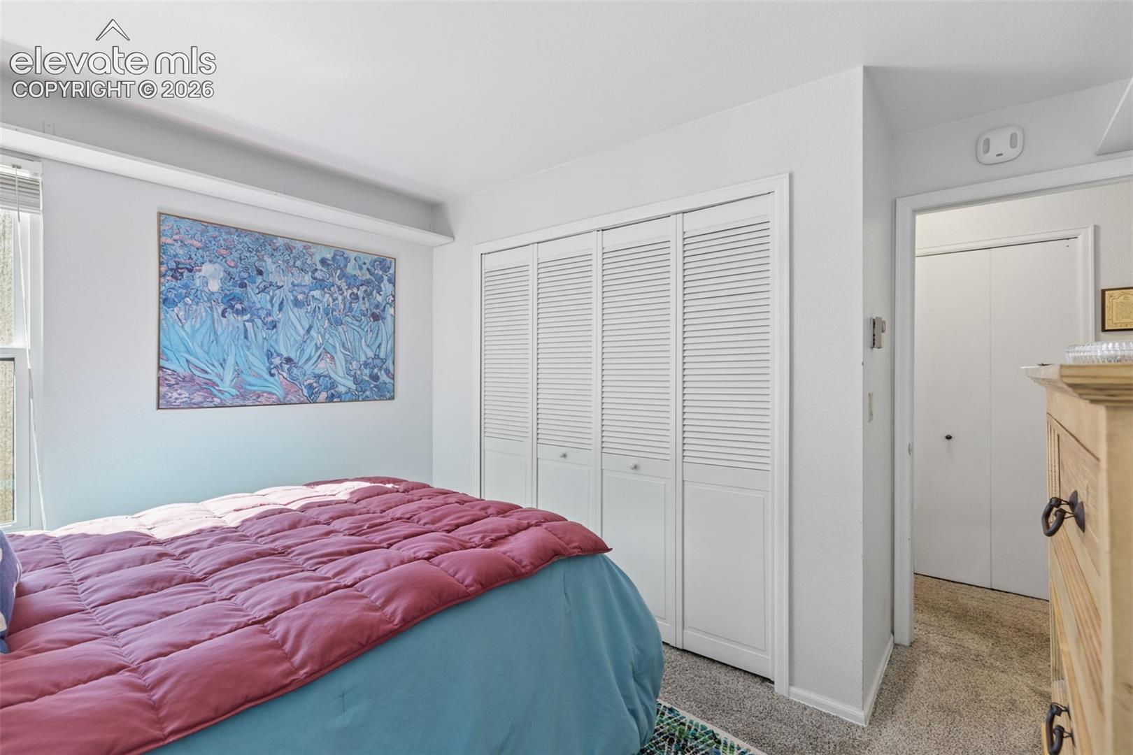 Window with blinds, wall-to-wall carpeting, and white louvered closet doors