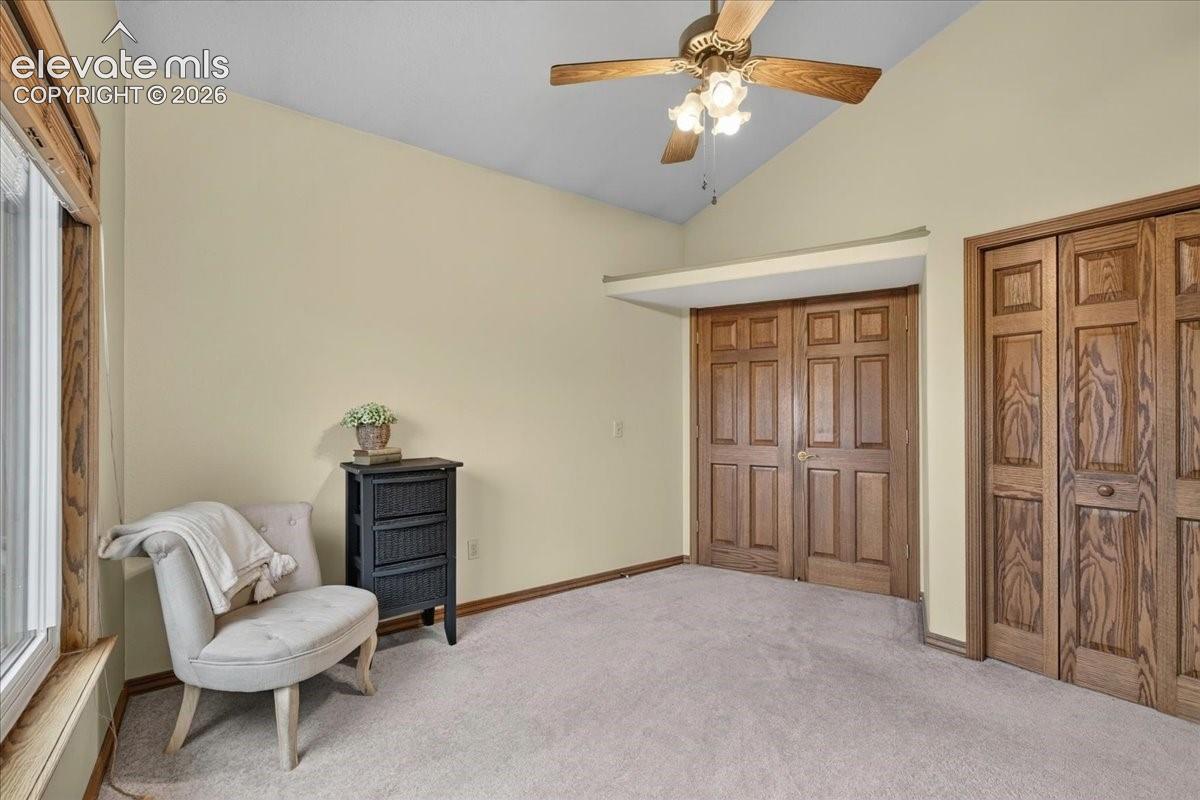 Vaulted ceiling with a central multi-blade light fixture, natural wood-finish closet doors, and wood-trimmed window casing