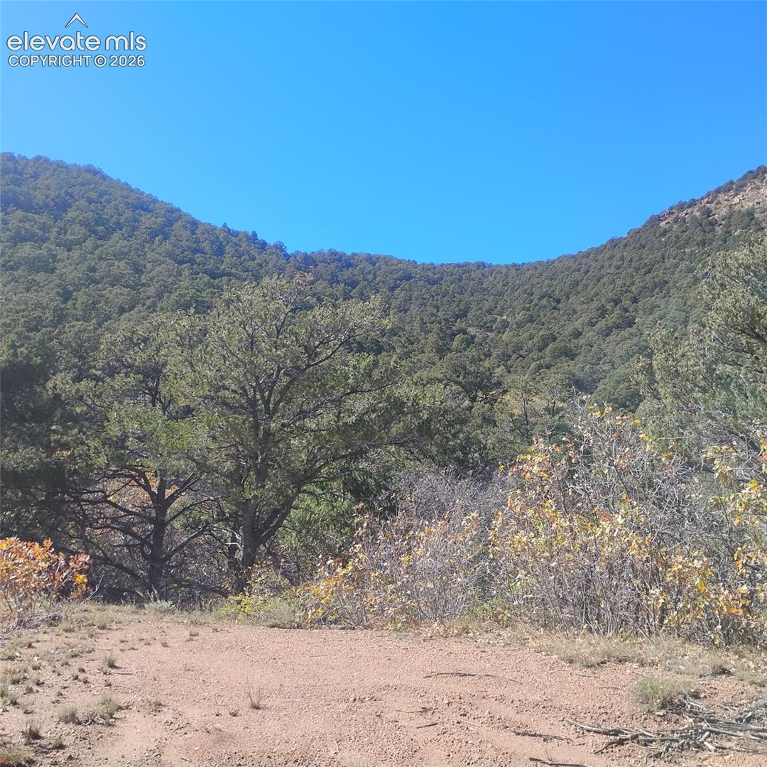 Expansive mountain terrain featuring dense, mature timber and natural landscape