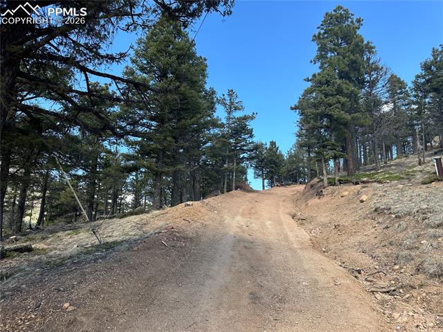 Driveway into lot