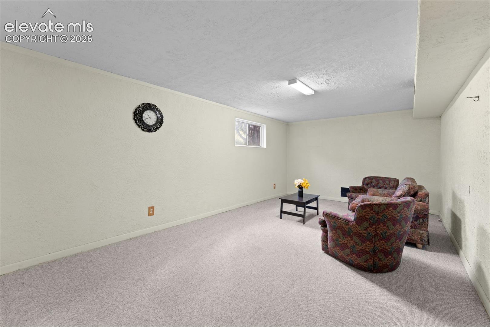 Neutral-toned walls with textured finish, light-colored carpeting, a single window, and overhead fluorescent lighting