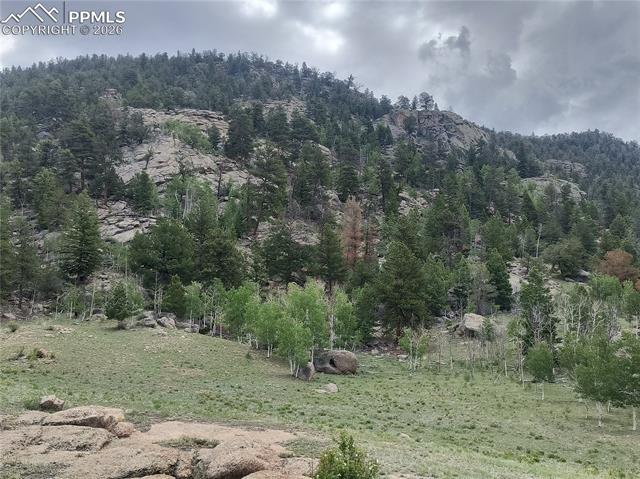 Mountain view featuring a heavily wooded area