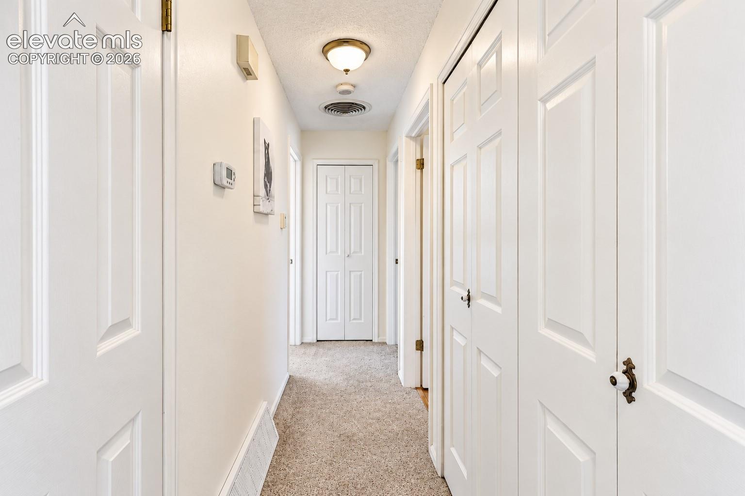 Hallway featuring neutral carpeting, multi-panel doors, and a ceiling-mounted light fixture