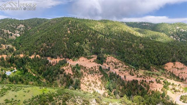 View of mountain background with a forest