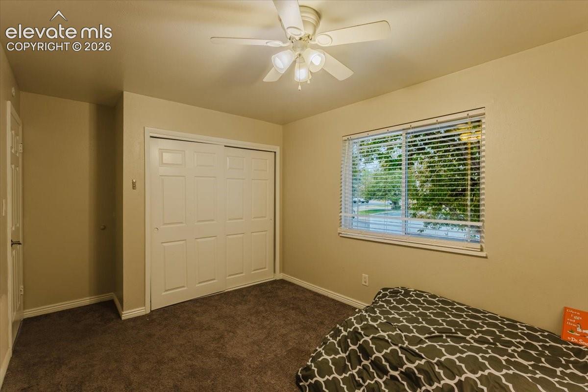 Neutral tone walls with white trim and dark carpet flooring