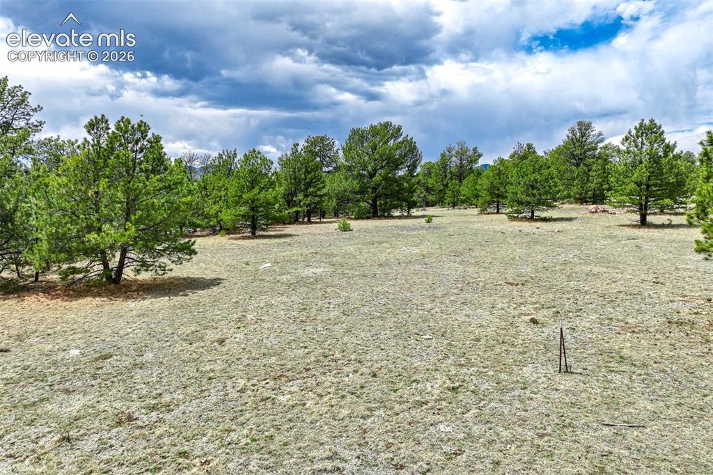 Photo 40 of Tract 103 Doe Valley Road, Guffey