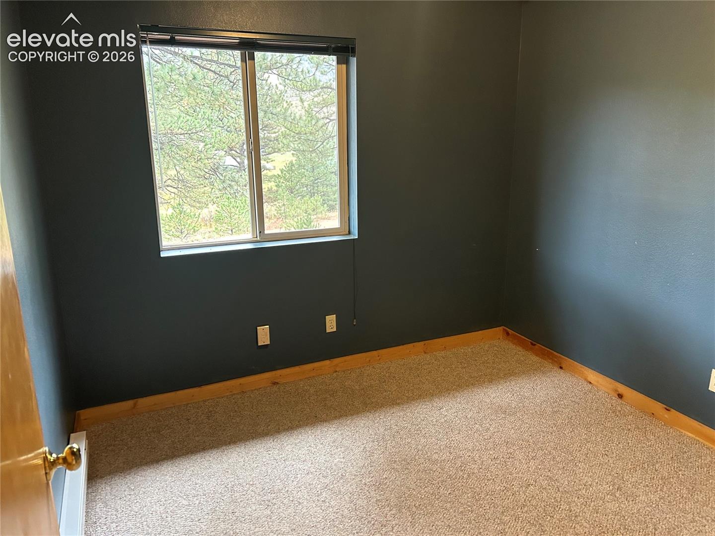 Bedroom with deep blue-toned walls, neutral carpeting, natural wood trim, and a window with exterior tree scenery