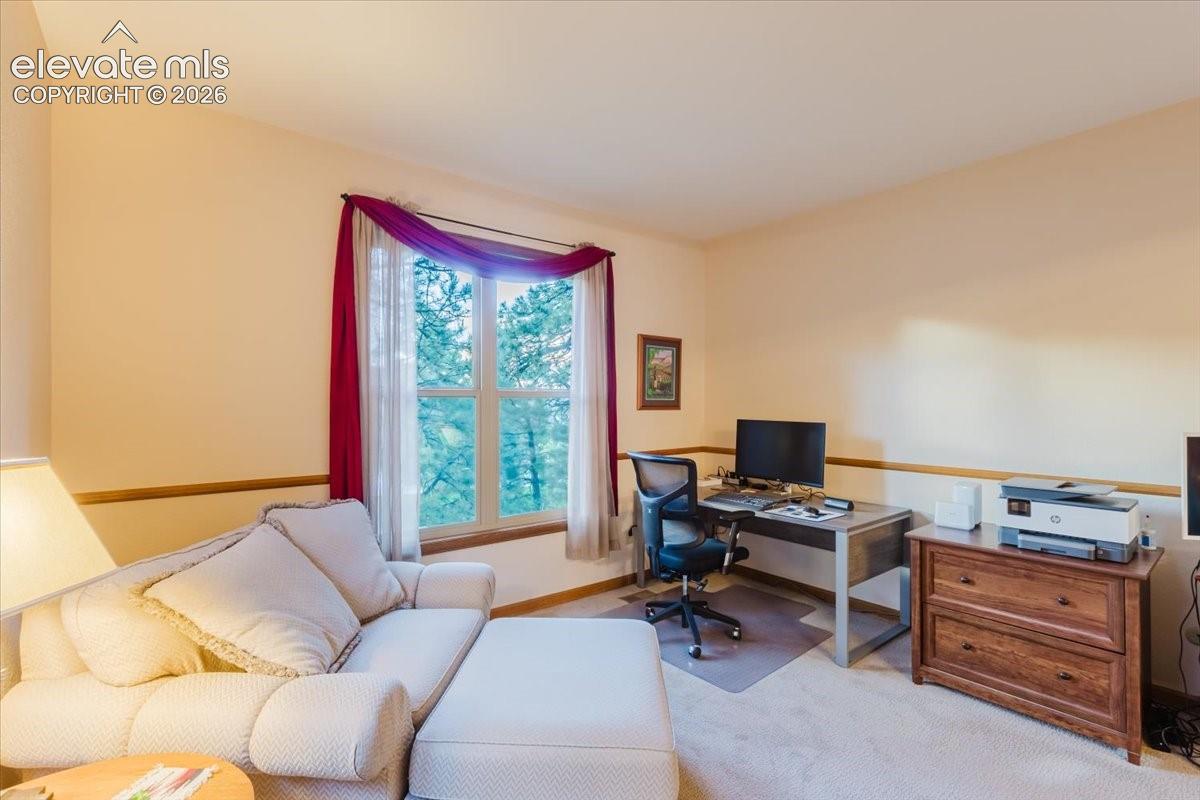 Carpeted room with a multi-pane window, light yellow painted walls, and wood trim detail