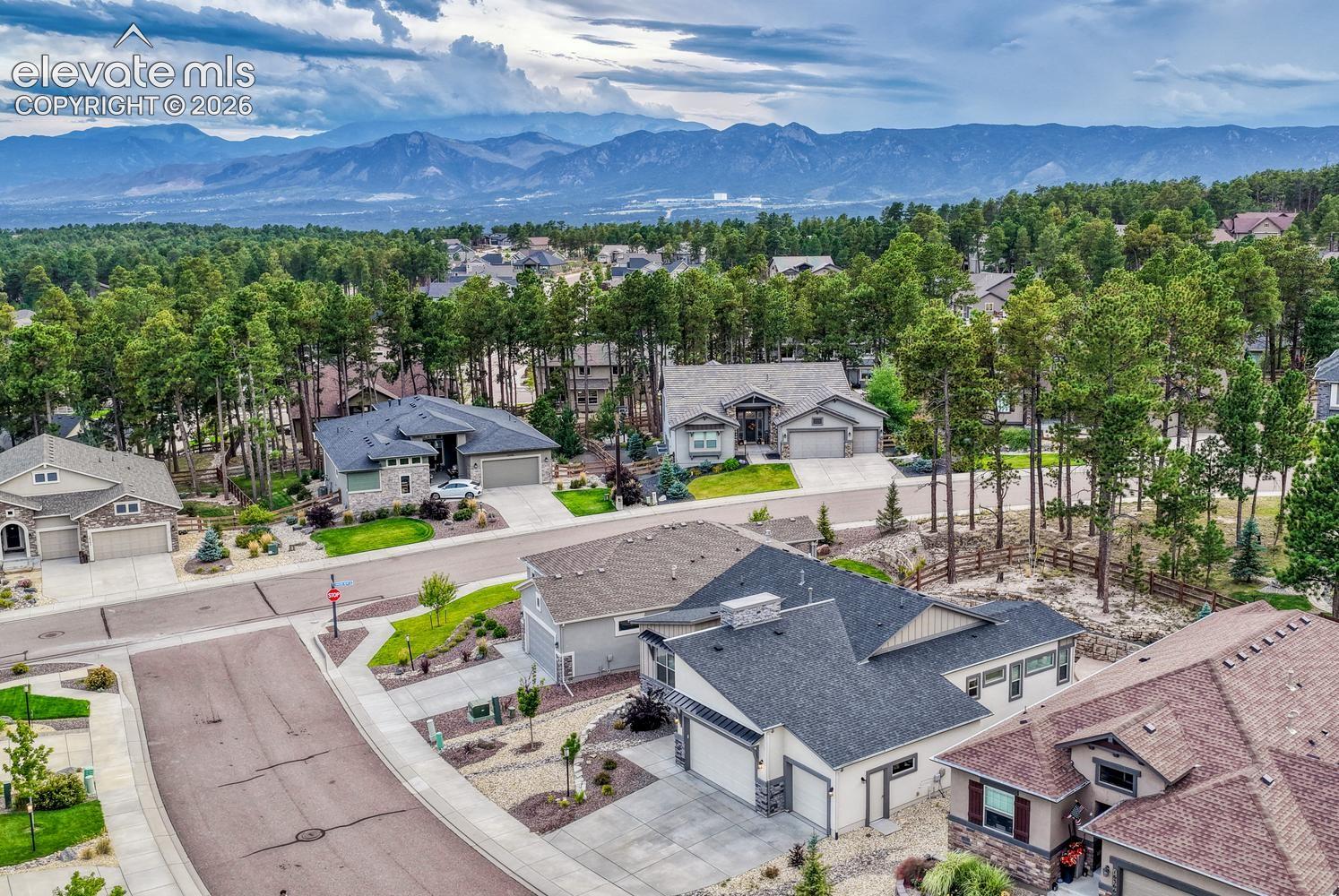 Back yard backs to common area with pine trees