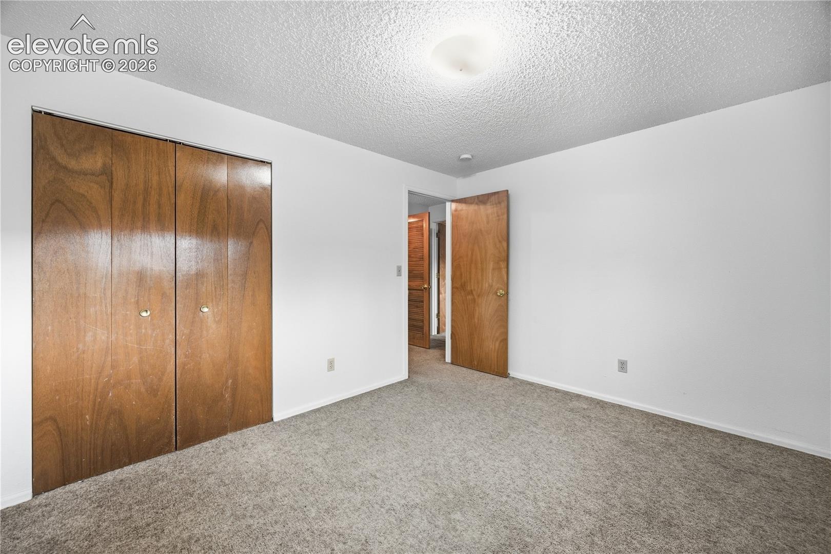 Room featuring neutral wall finishes, carpeting, flush-mount ceiling lighting, and wood-finish closet and passage doors