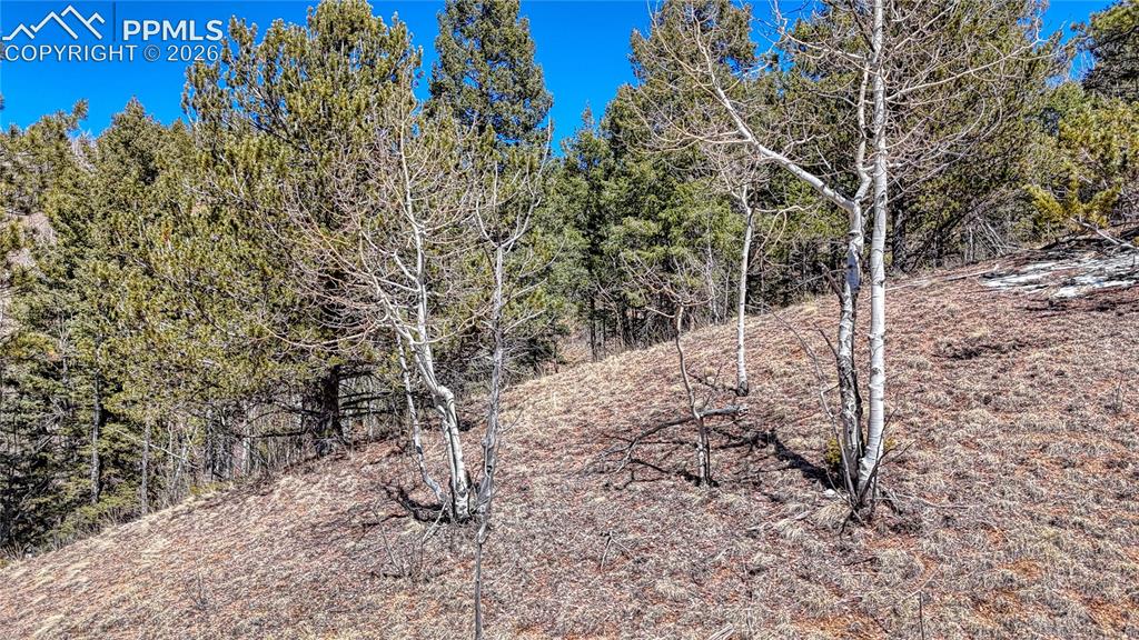 Photo 7 of 513 Last Dollar Drive, Cripple Creek