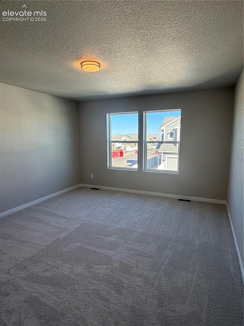 Neutral interior space featuring carpeted flooring, dual-pane windows, and a flush-mount ceiling fixture