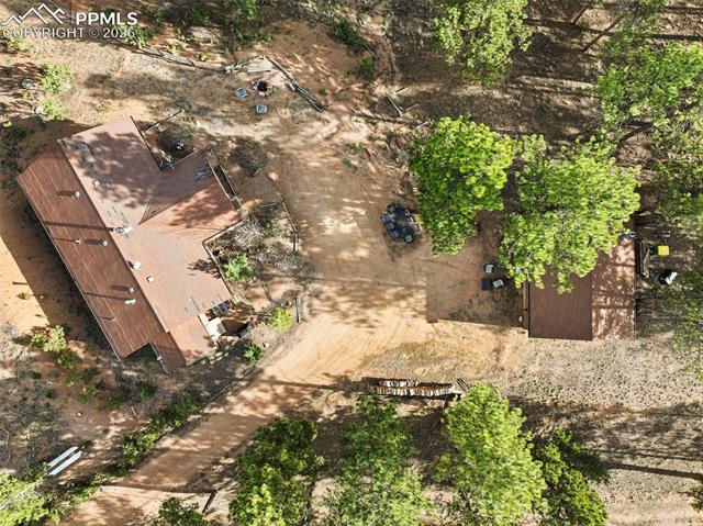 1110 Pikes Peak Dr, Florissant, CO 80816
