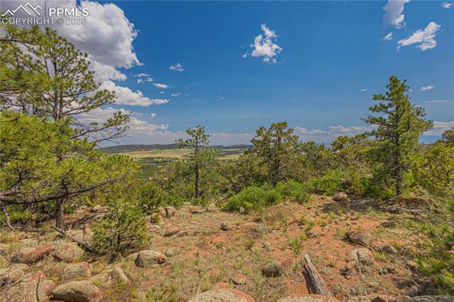 Photo 9 of 15505 S Cuerno Verde View, Colorado Springs