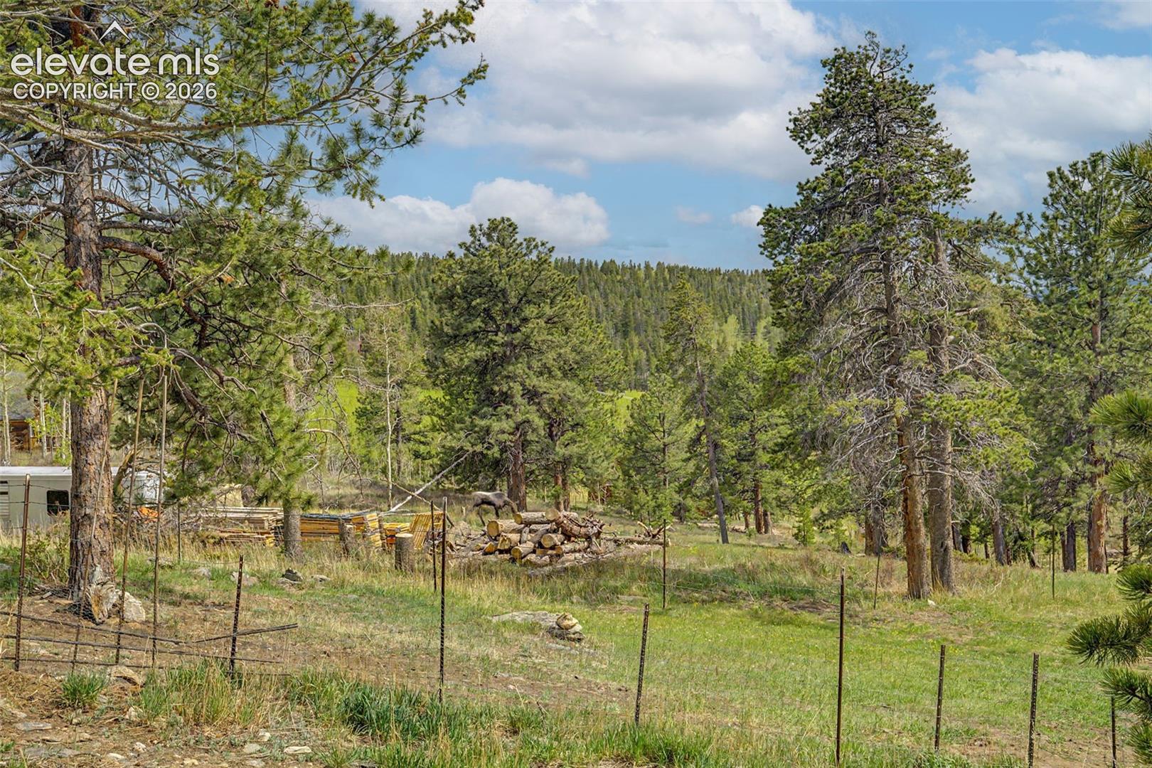 Fresh air, blue skies, and mountain pines, oh my!