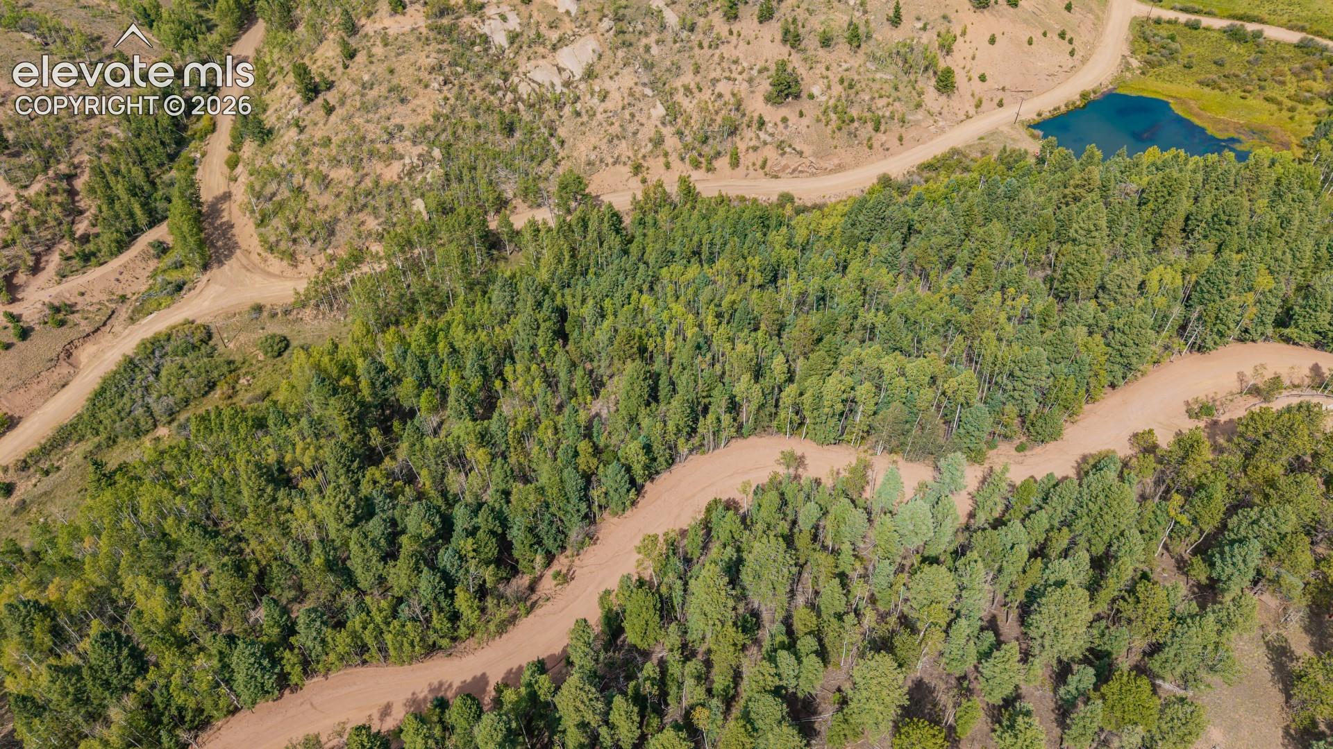 Photo 6 of 1034 Little Topsey Drive, Cripple Creek