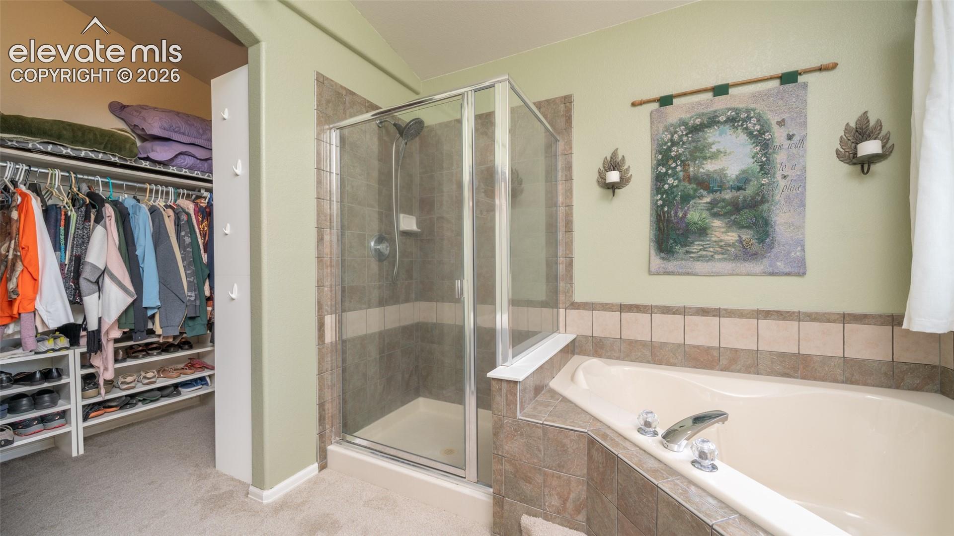 Master shower + closet