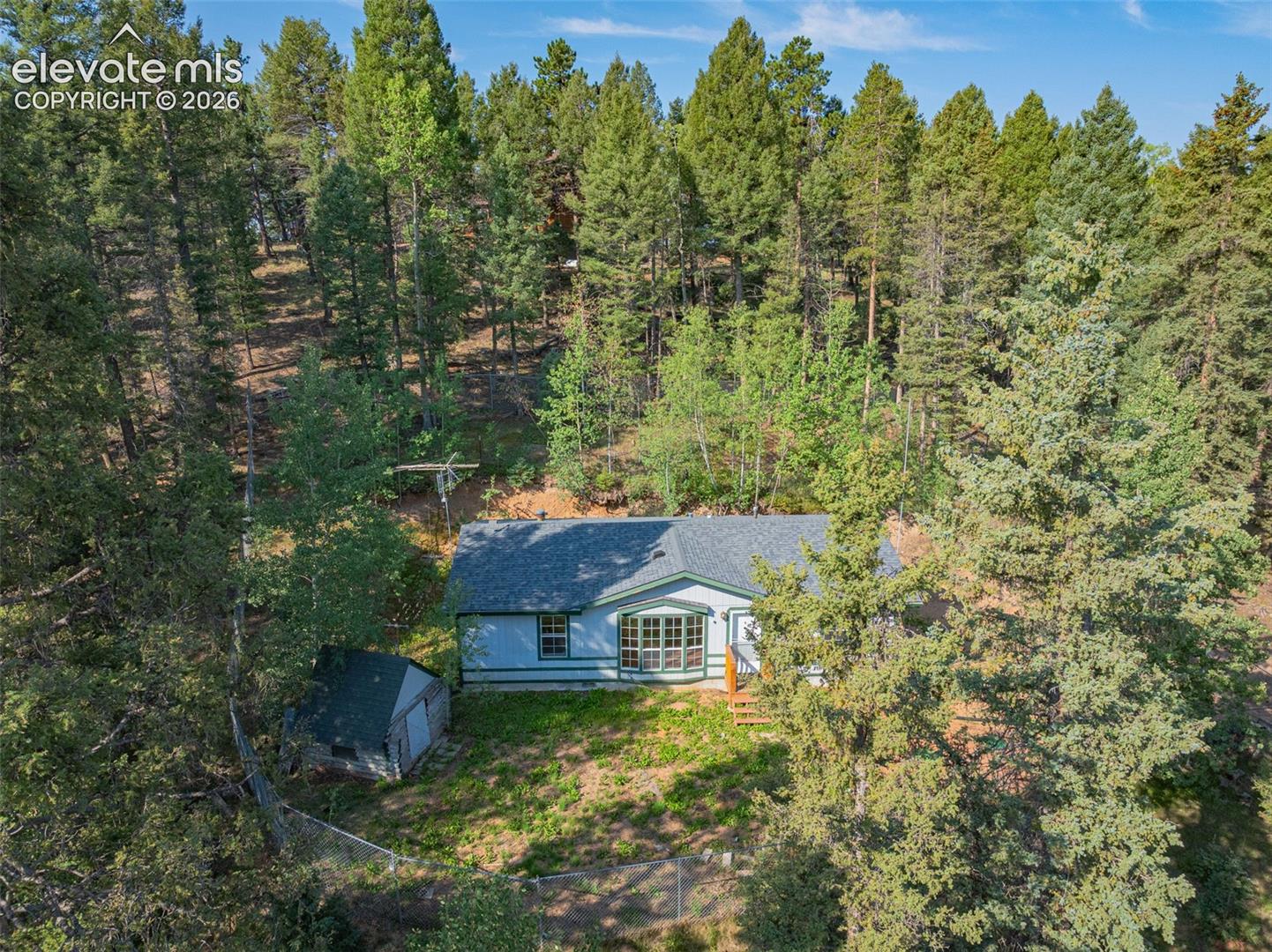 Single-story residence set on a sloped lot surrounded by mature evergreen trees