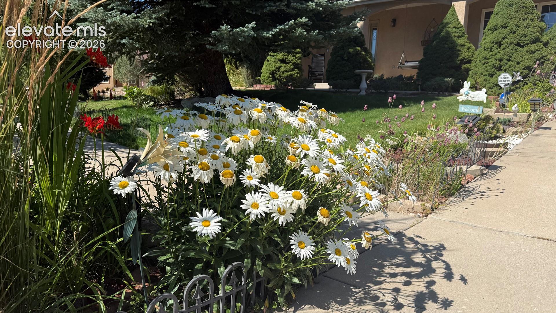 Photo 50 of 2285 Vanreen Drive, Colorado Springs