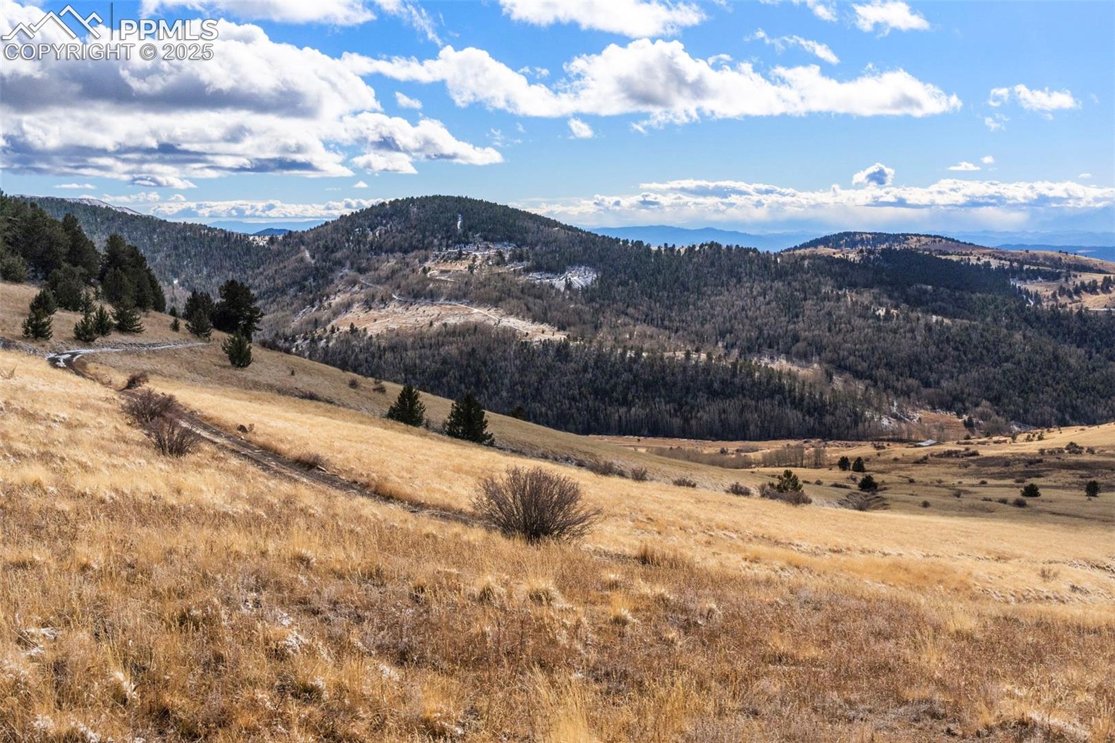 Photo 9 of Private Road, Cripple Creek