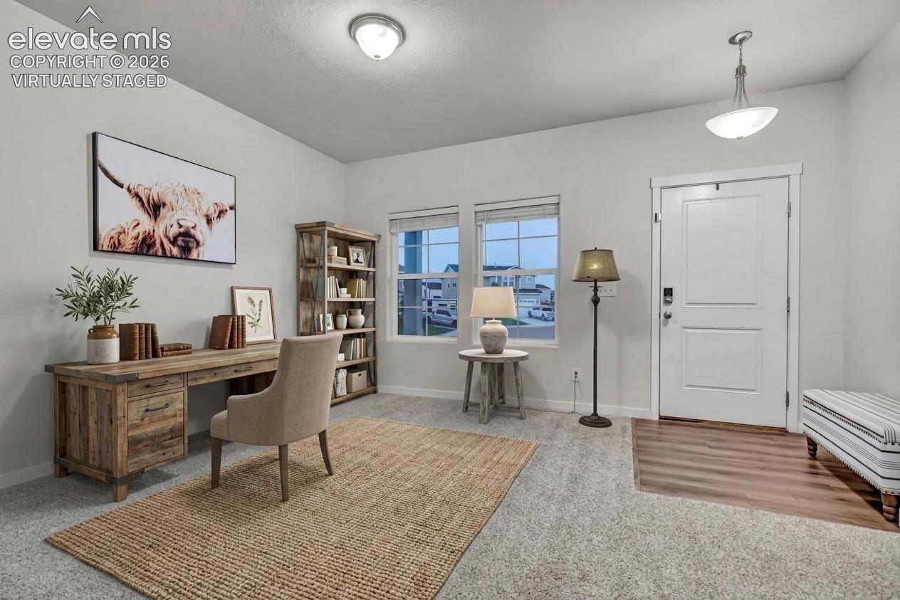 Virtually staged - Entry