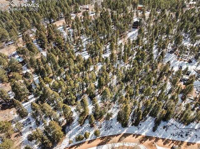 358 Pawutsy Rd, Florissant, CO 80816