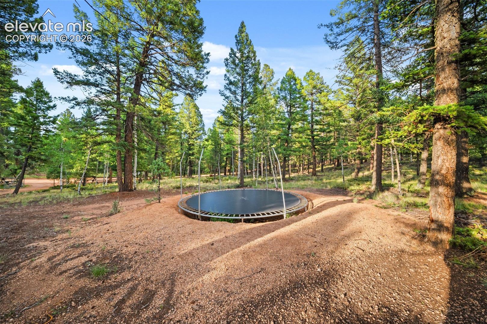 Photo 42 of 1933 County Road 782, Woodland Park