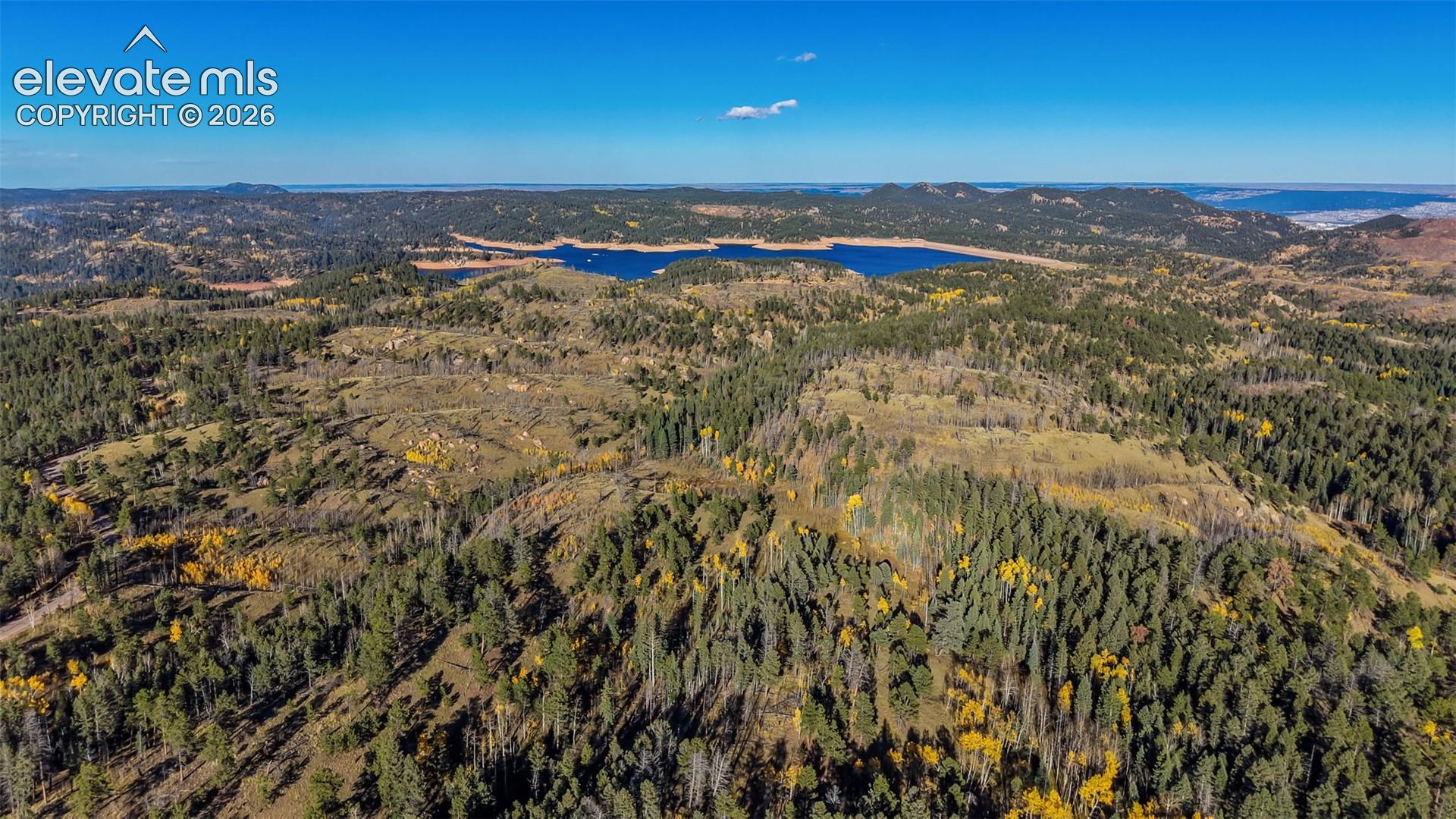 Expansive acreage featuring mature evergreen forest, native vegetation, rolling topography, and regional water frontage