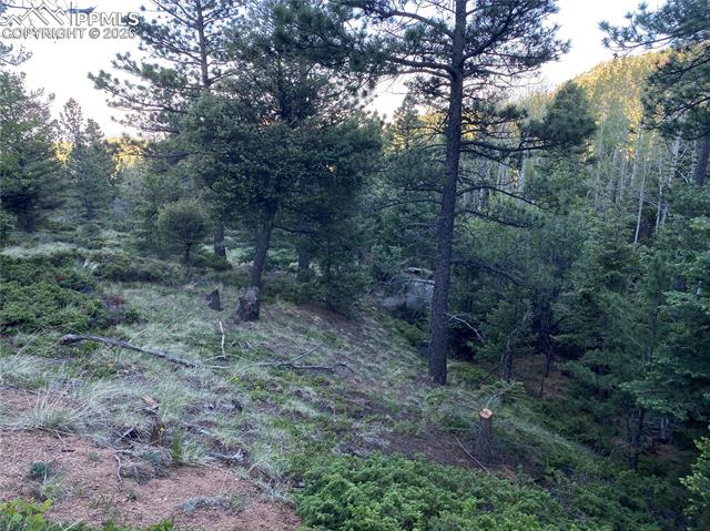 Another view of the Build site