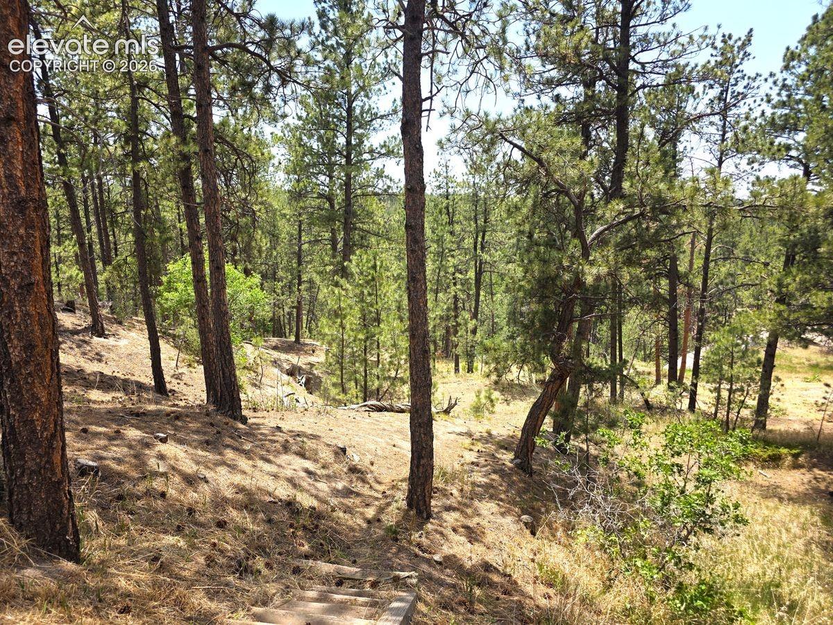 Photo 28 of 4465 Leprechaun Lane, Colorado Springs