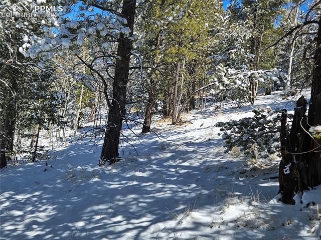 Photo 12 of 829 Princess Road, Cripple Creek
