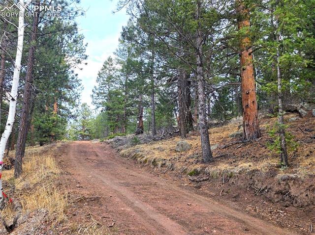 North side Driveway