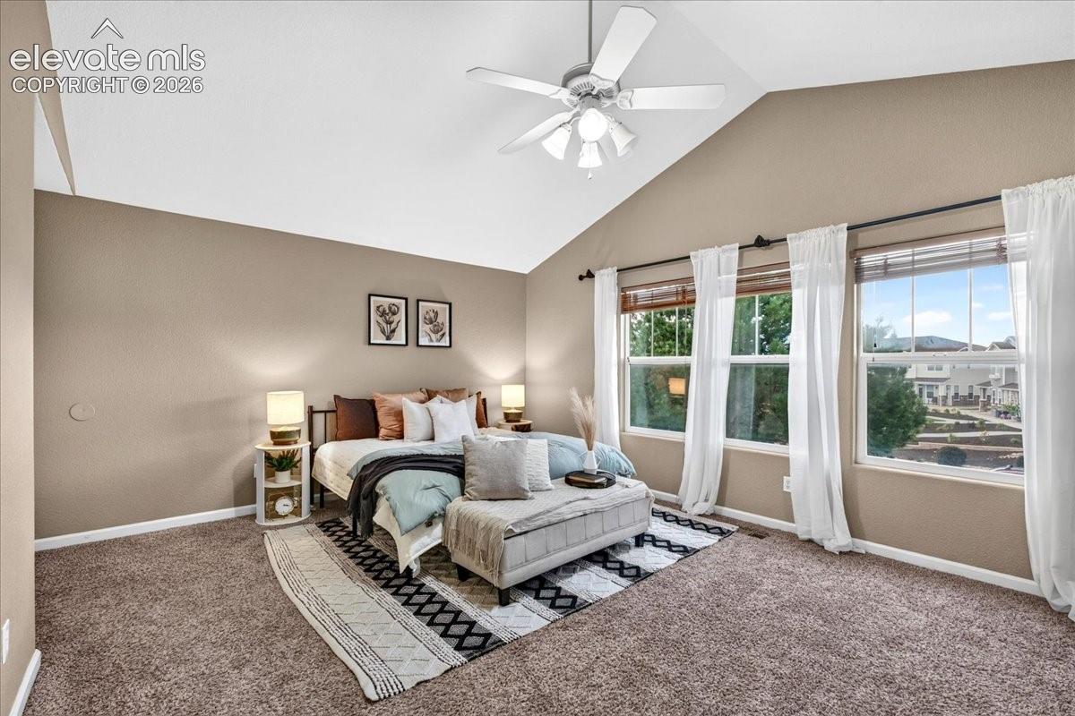 Vaulted ceiling with a ceiling fan, plush carpet flooring, and multiple windows