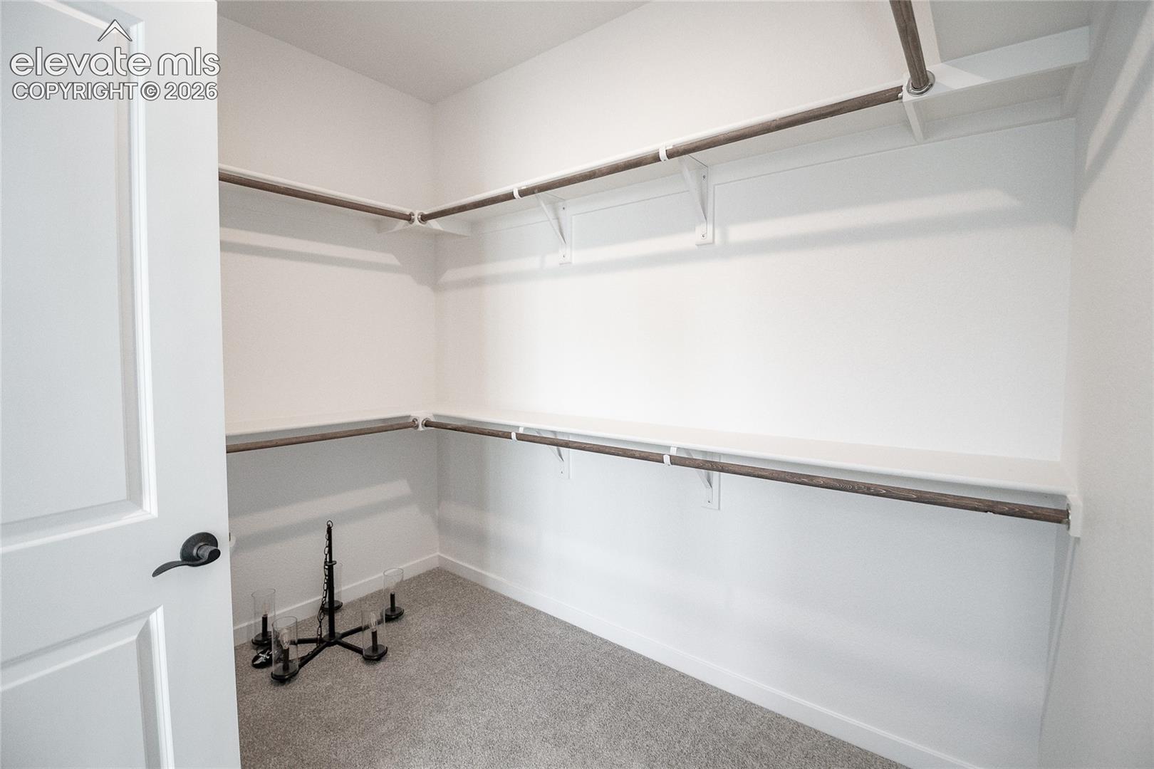 Walk-in closet featuring multi-level built-in shelving, integrated hanging rods, neutral carpeting, and a solid-core panel door with matte black hardware