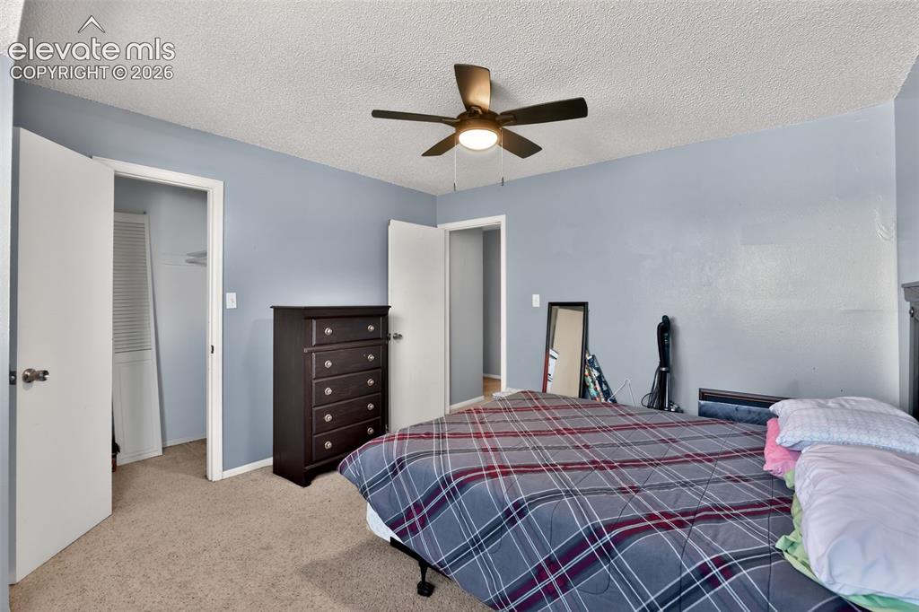Carpeted bedroom featuring a dark-toned ceiling fan with integrated lighting, two white interior doors, and pale blue wall paint