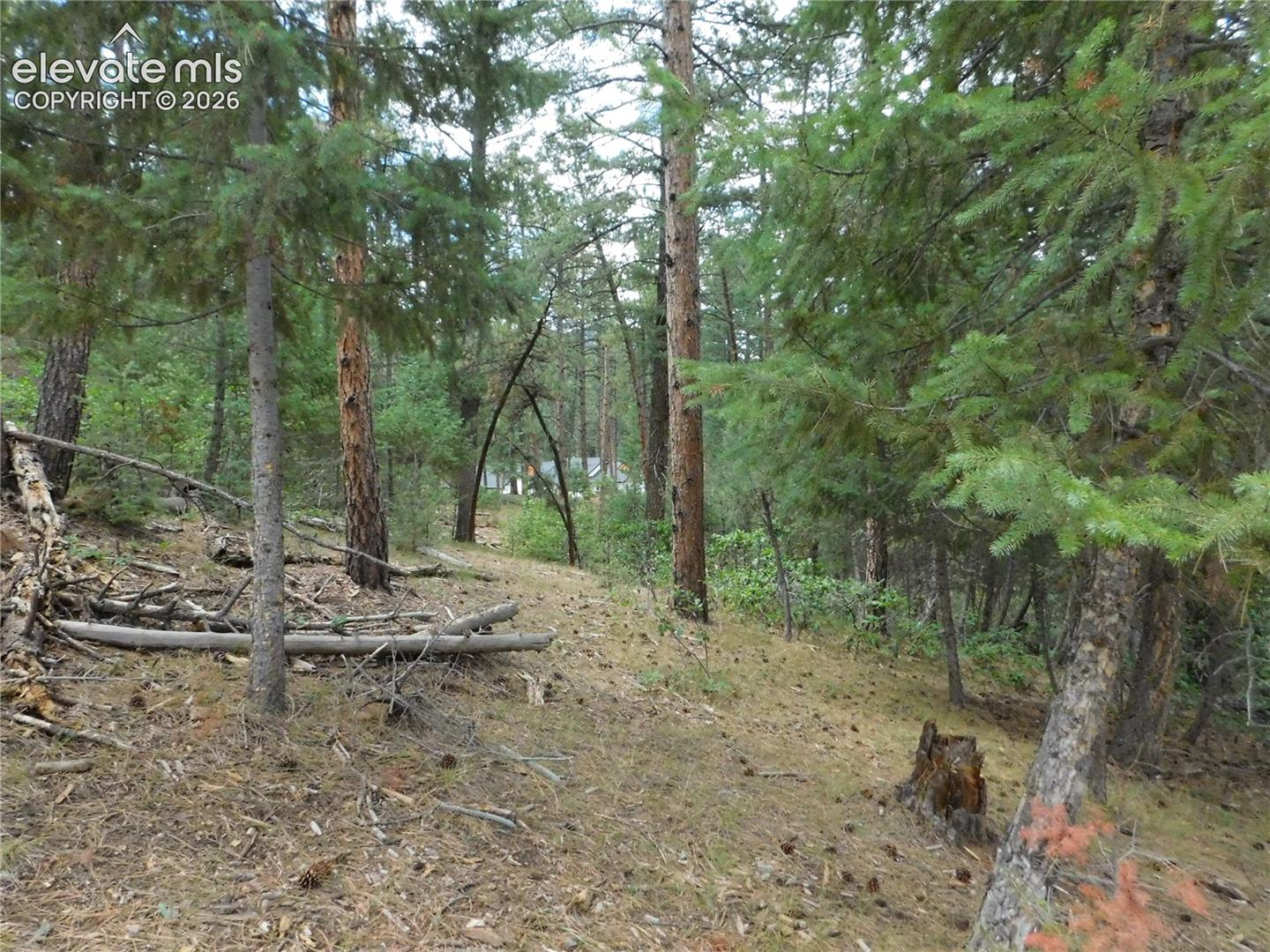Photo 42 of 8139 Bannock Drive, Larkspur