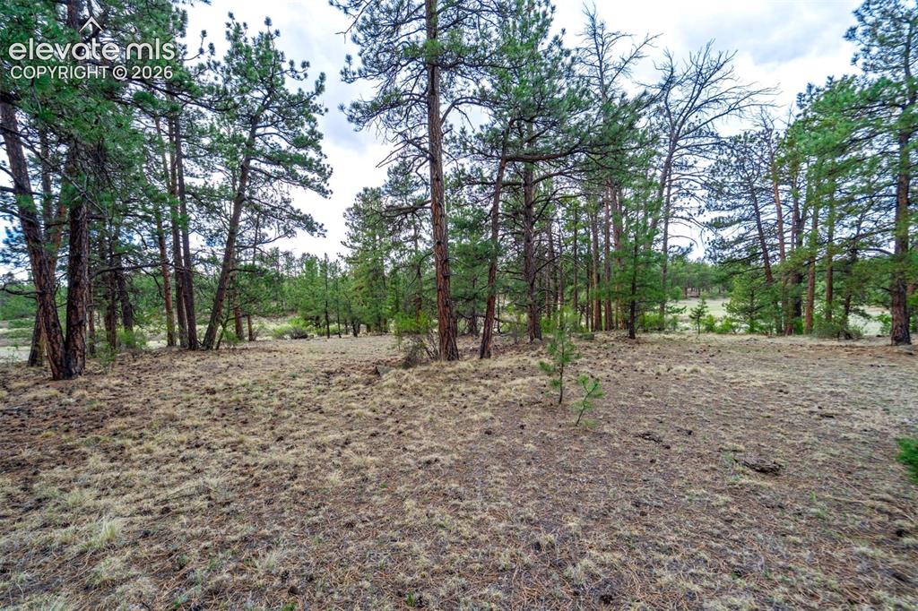 Photo 11 of Tract 103 Doe Valley Road, Guffey
