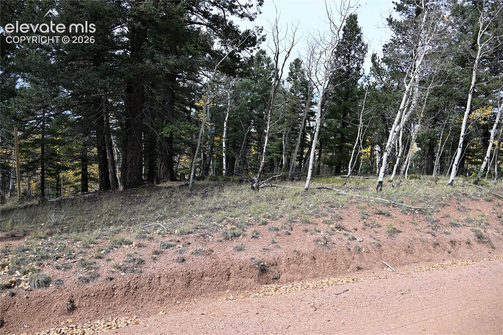 Photo 12 of 1020 Princess Road, Cripple Creek