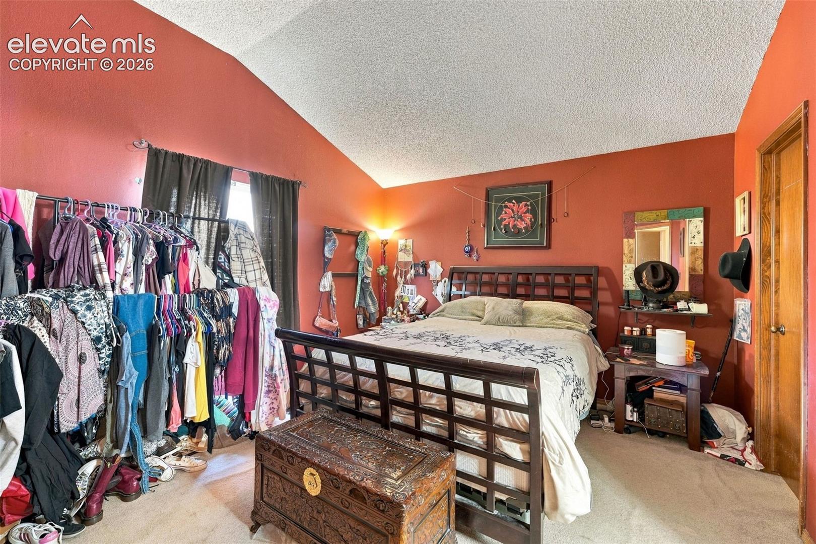 Vaulted ceiling and neutral carpeting