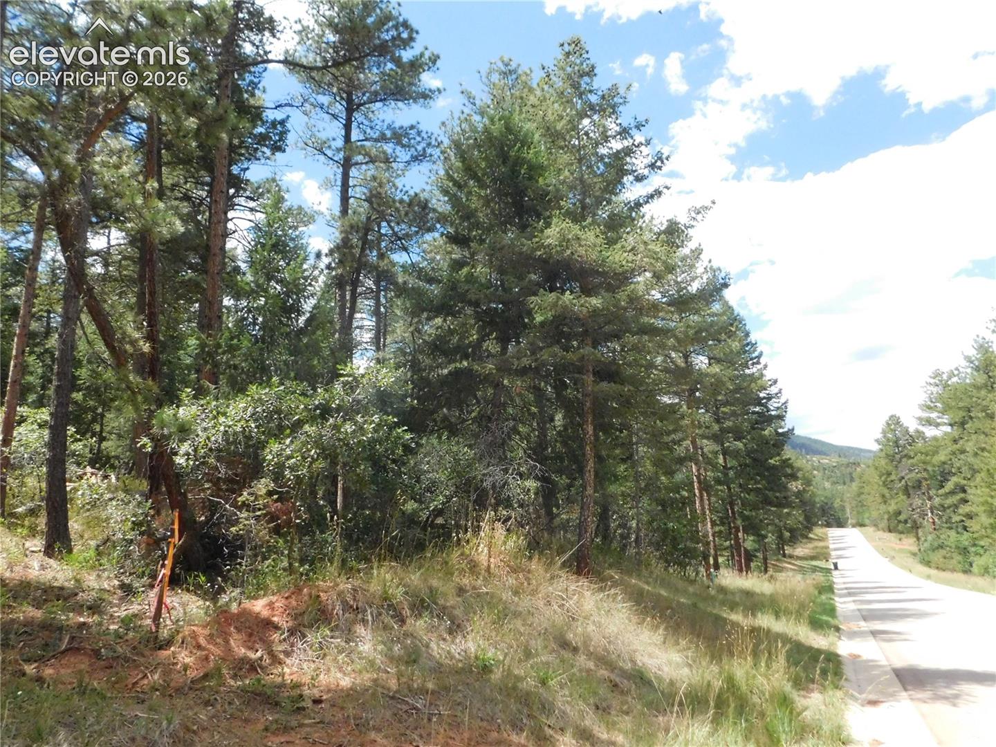 Photo 6 of 8139 Bannock Drive, Larkspur
