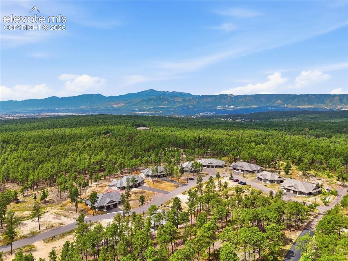 45 Acres of Forest