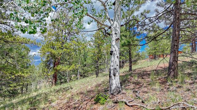 Photo 13 of 24 Wild Horse Circle, Cripple Creek