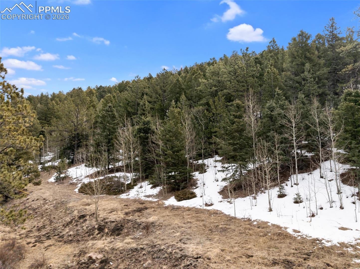 Photo 12 of 278 Penrose Circle, Cripple Creek