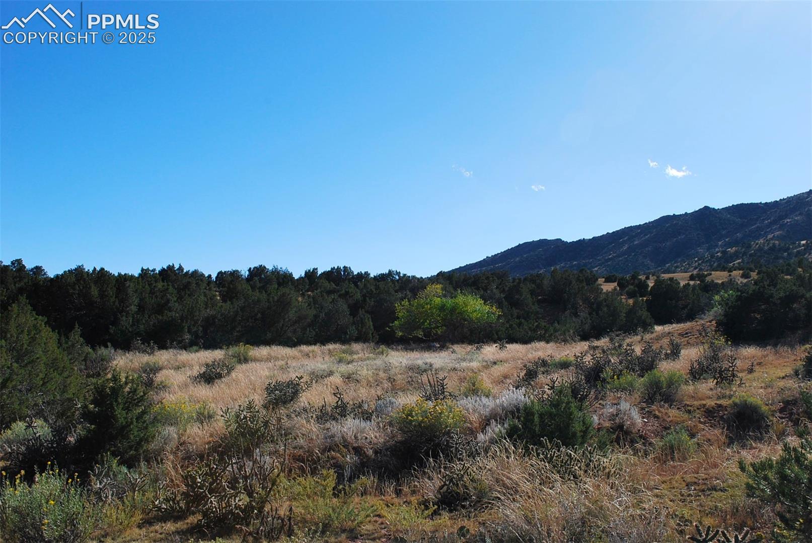 Photo 18 of 601 County Road 69, Canon City