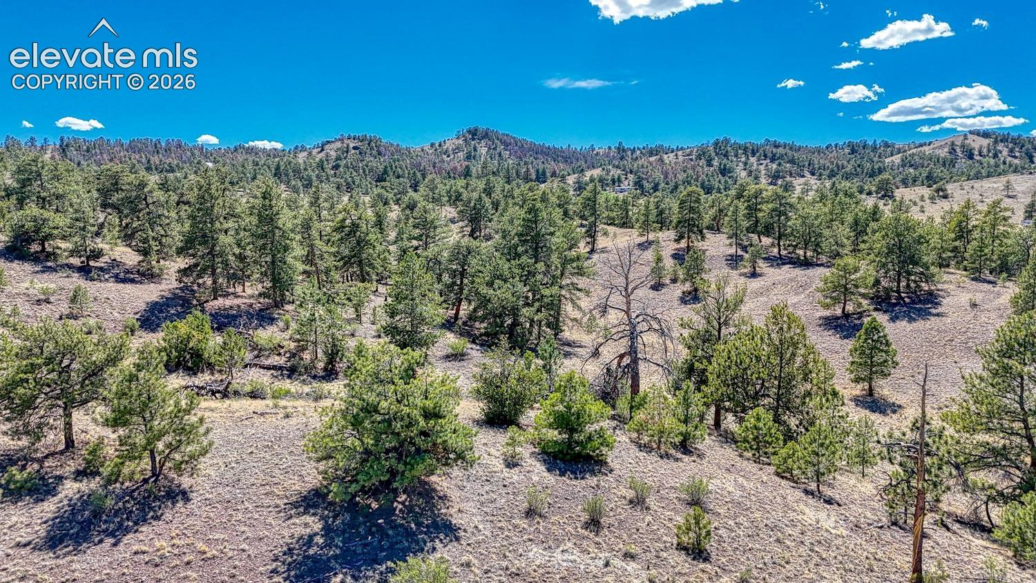 Photo 29 of Lot 11 Highway 9, Hartsel