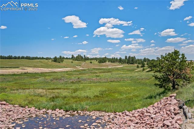 Photo 10 of 10334 Alamar Way, Colorado Springs