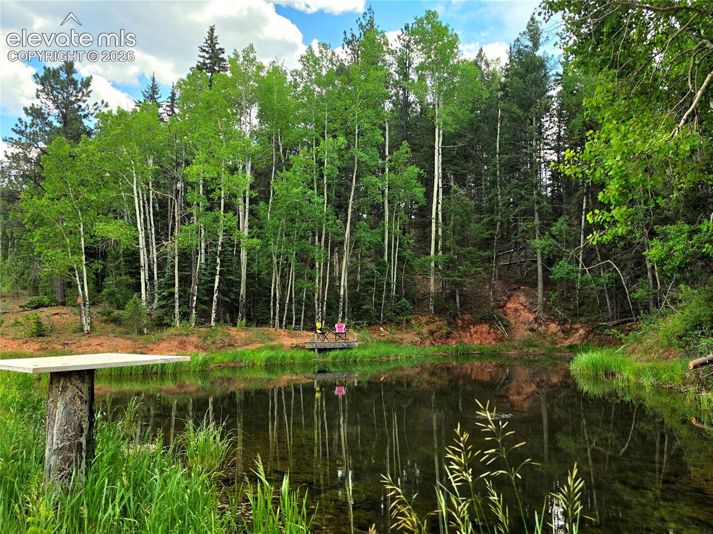 Pond with Fishing Dock
